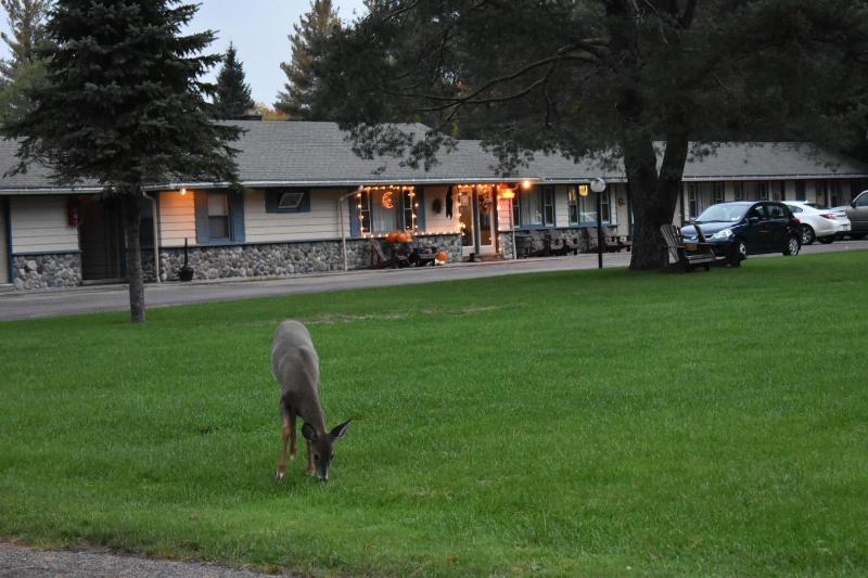 Country Club Motel — photo 5