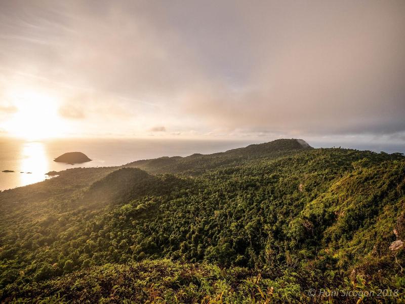 Huni Sicogon image