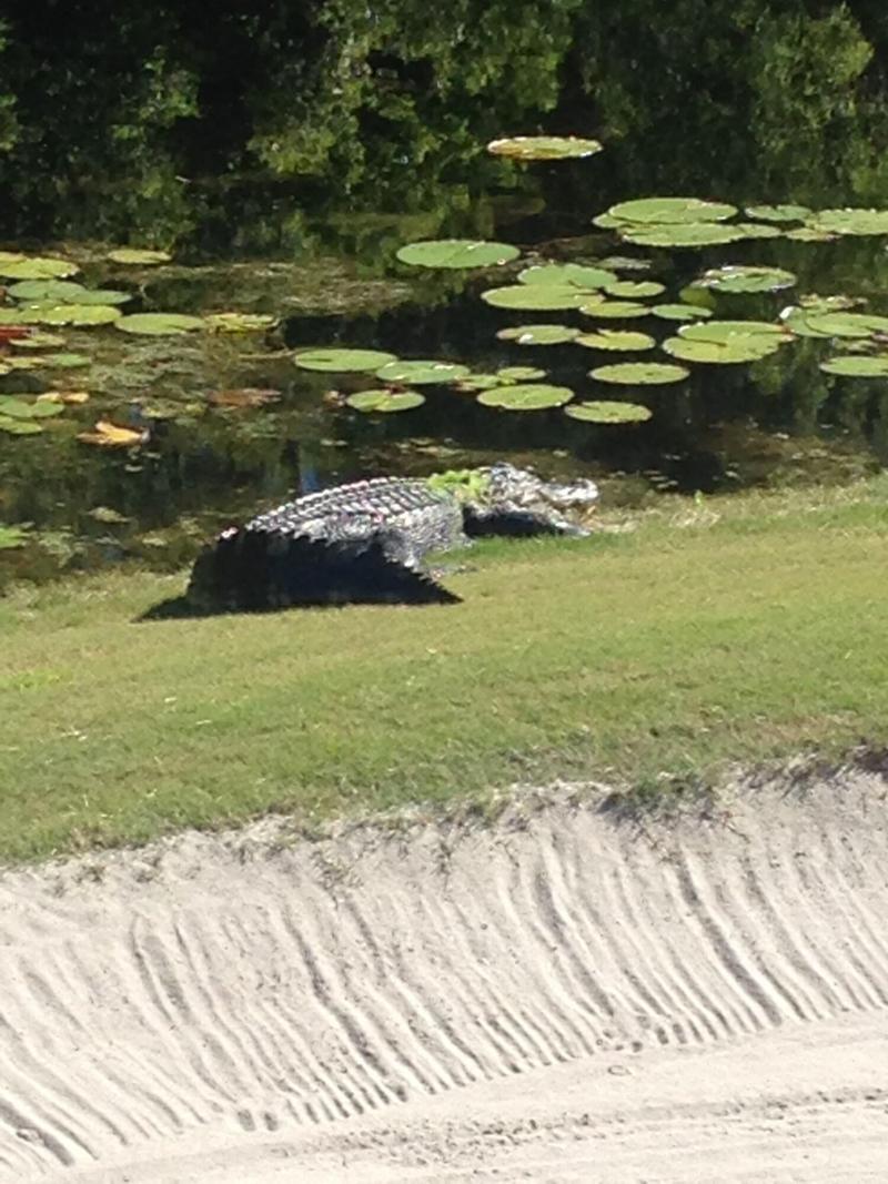 St. James Bay Golf Club image 8