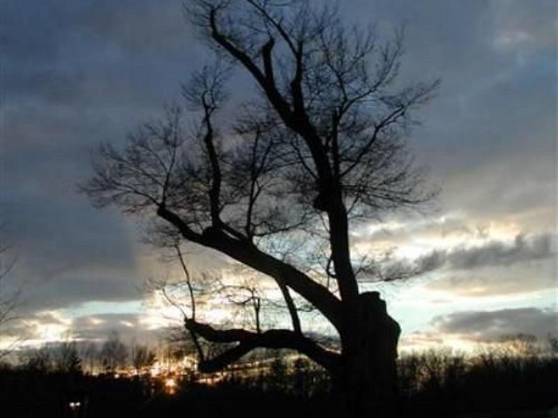 Stevenson Ridge image