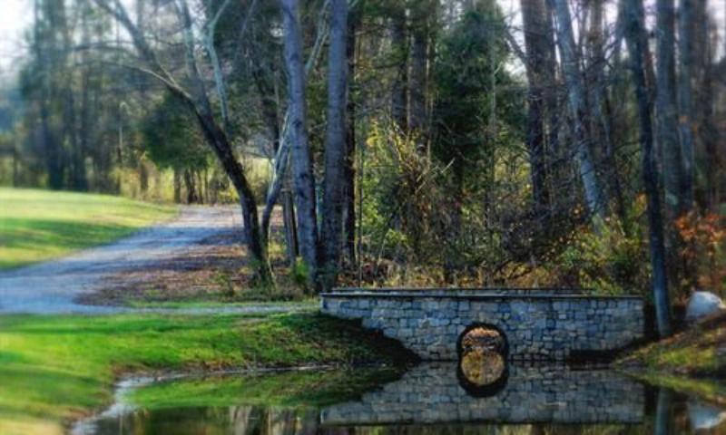 Stevenson Ridge image