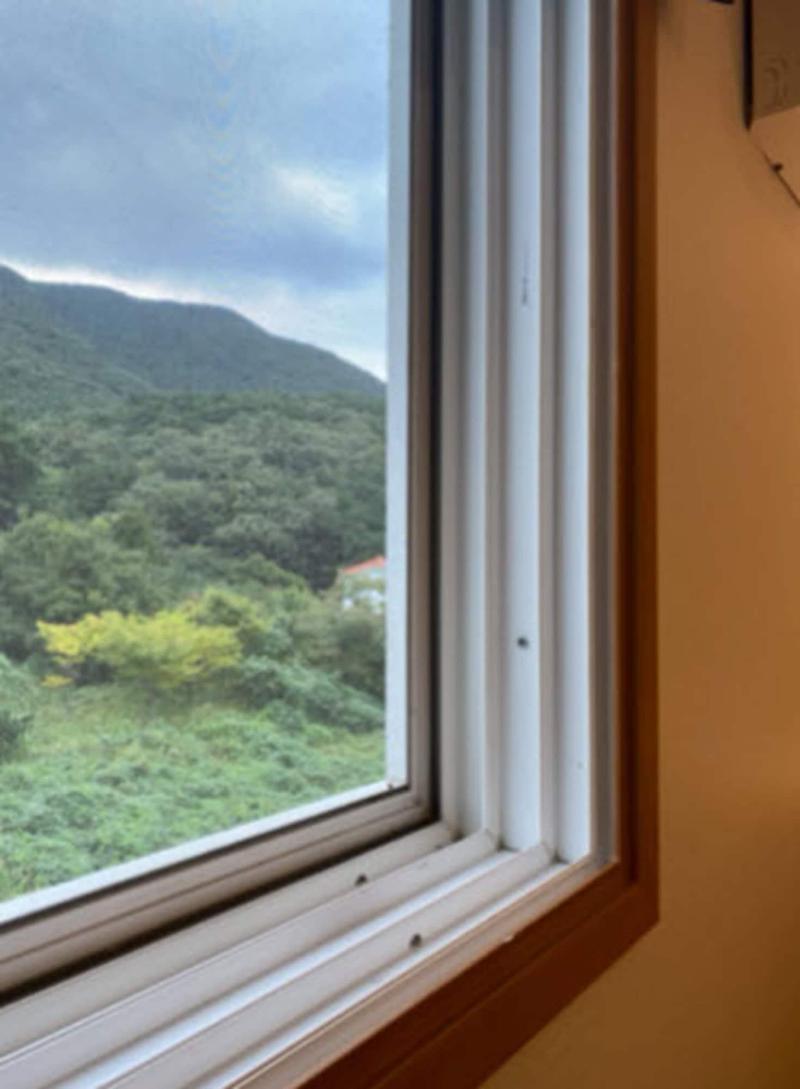 Stubborn Hotel image