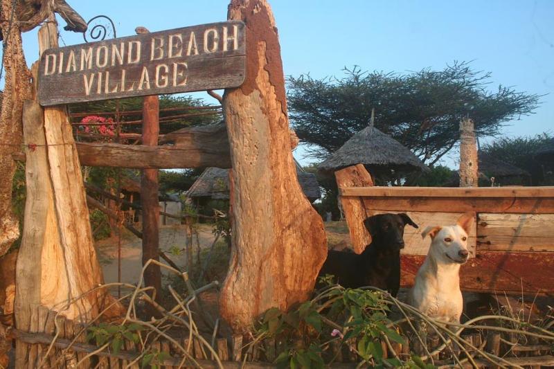 Diamond Beach Village — photo 4