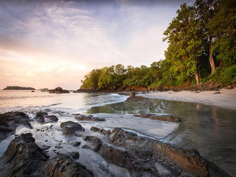Isla Palenque image