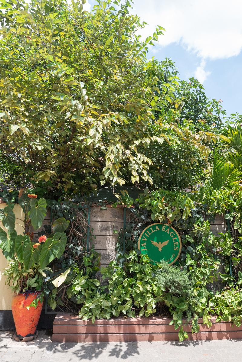 Javilla Eagles Safari Guest House image