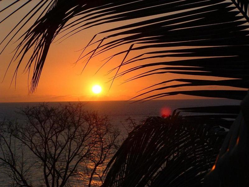 Tamarind Tree Hotel And Restaurant