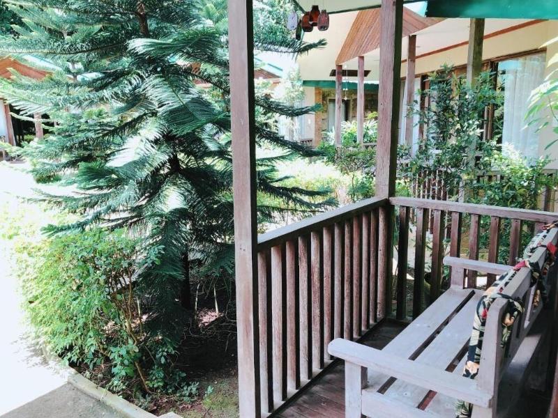 Ted's Bed and Breakfast image