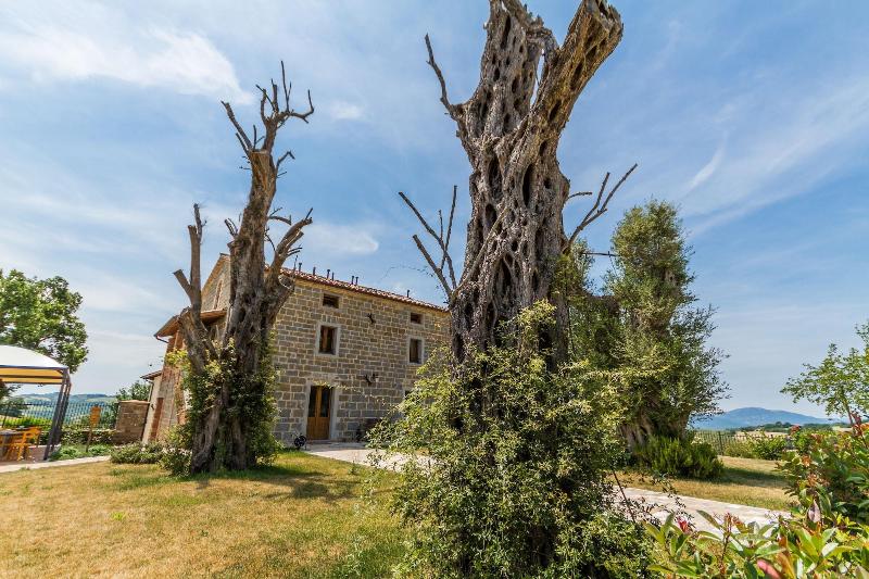Tenuta Borgo Santa Cecilia image