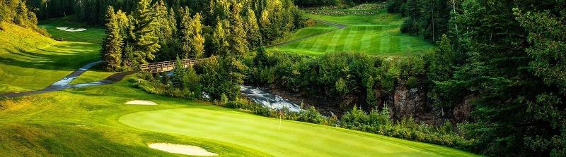 Eagle Ridge Resort At Lutsen Mountains image