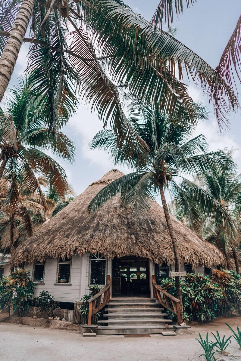 Thatch Caye, a Muy'Ono Resort image