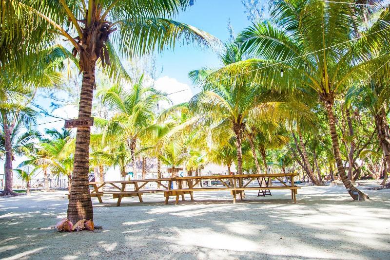 Thatch Caye, a Muy'Ono Resort image