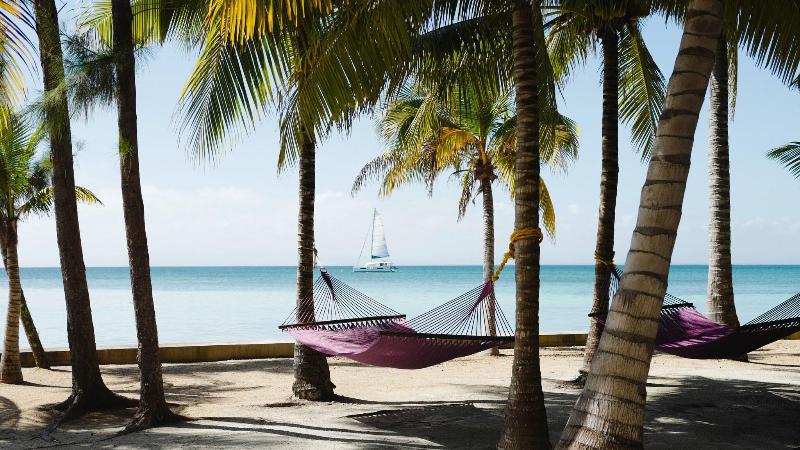 Thatch Caye, a Muy'Ono Resort image