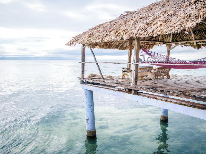 Thatch Caye, a Muy'Ono Resort image