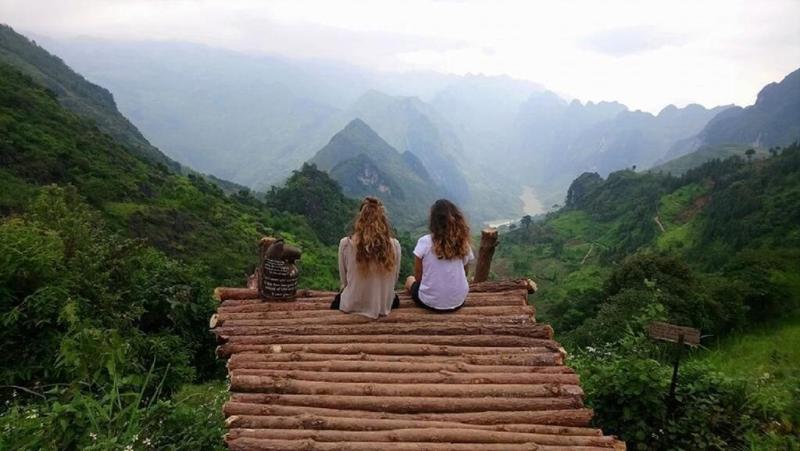 The Art - Golden Jungle House