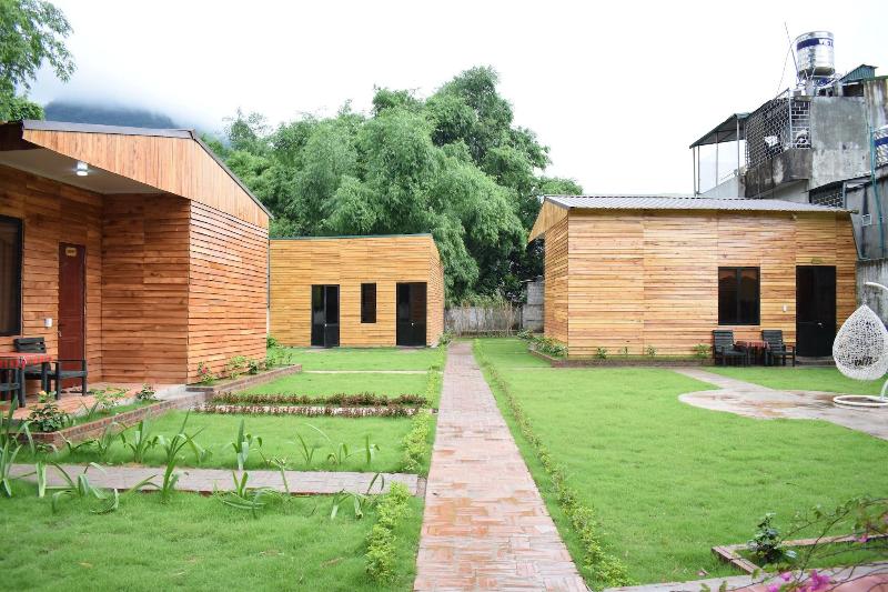 The Art - Golden Jungle House 2