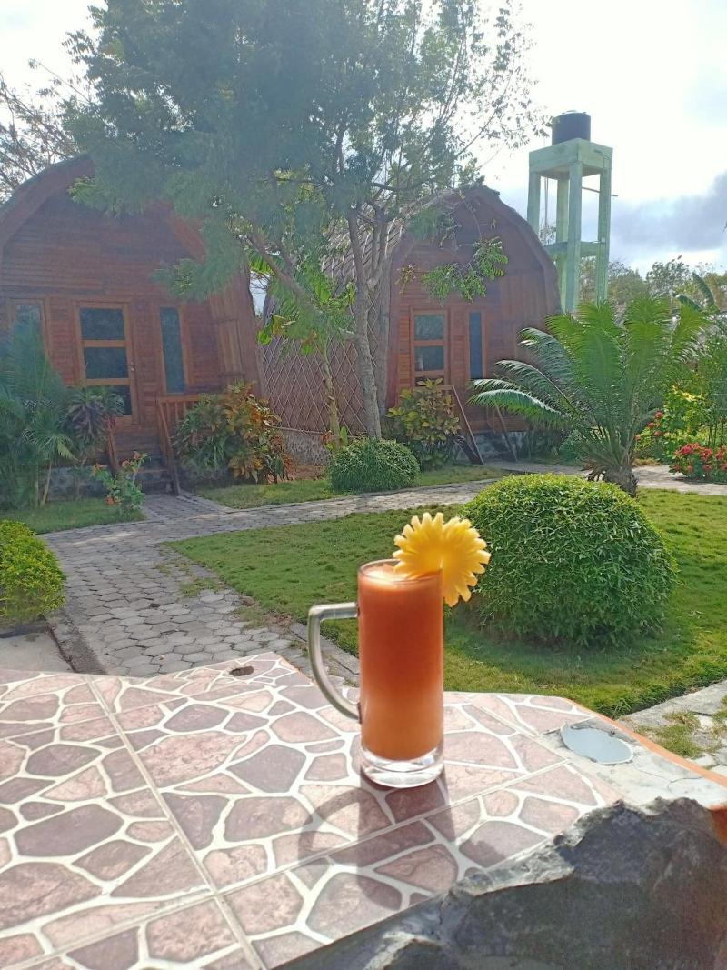 Ekas Garden Bungalow — general view