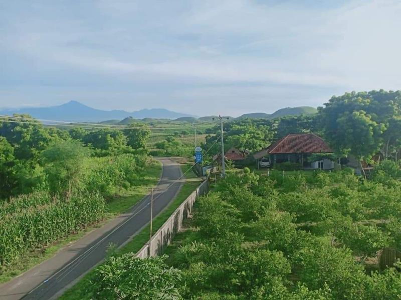 Ekas Garden Bungalow — general view