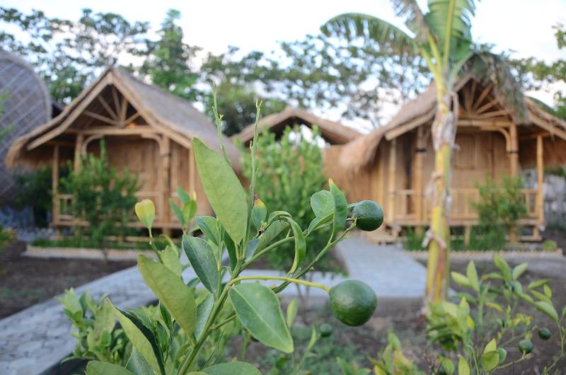 Ekas Garden Bungalow image