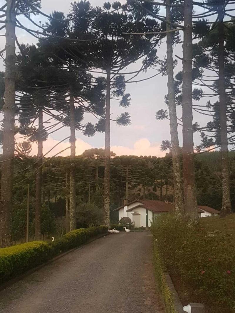 Estalagem Tronador image