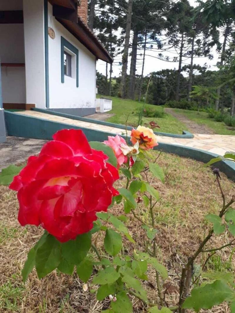 Estalagem Tronador image