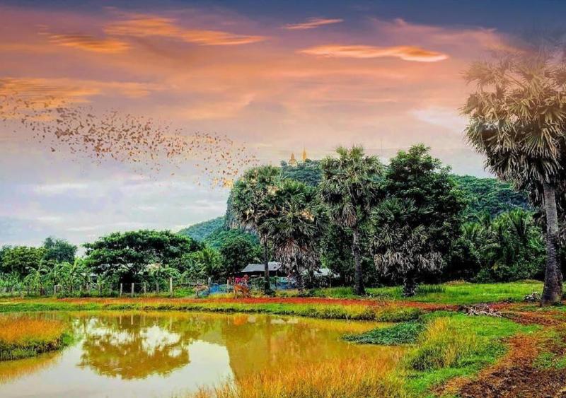 Family Batcave Homestay - Hostel image