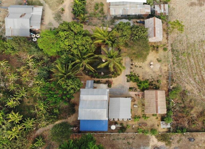 Family Batcave Homestay - Hostel image