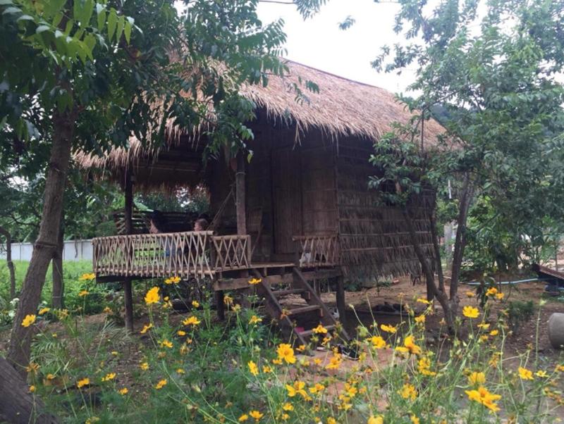Family Batcave Homestay - Hostel image