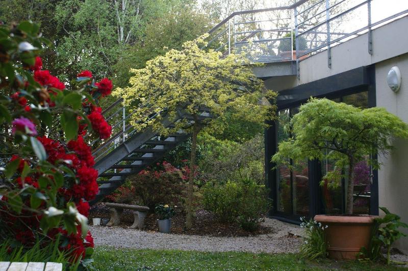 La Canopée des pins — photo 2