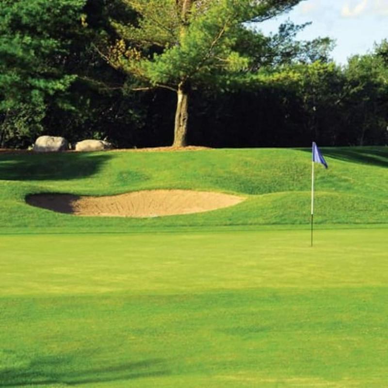 Forest Golf Club And Inn
