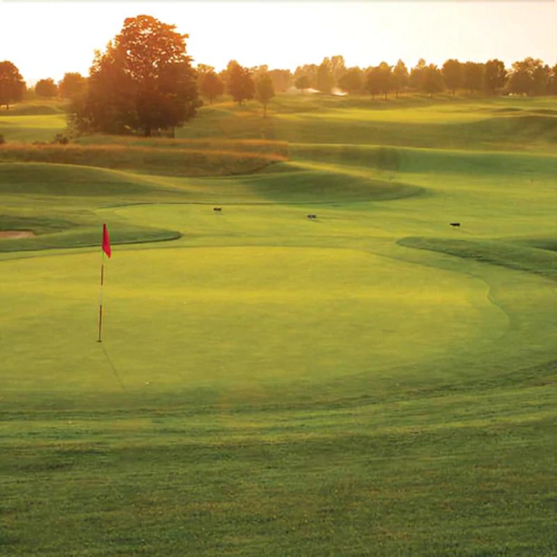 Forest Golf Club And Inn