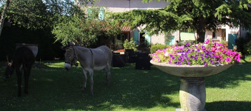 La Ferme De Capucine image