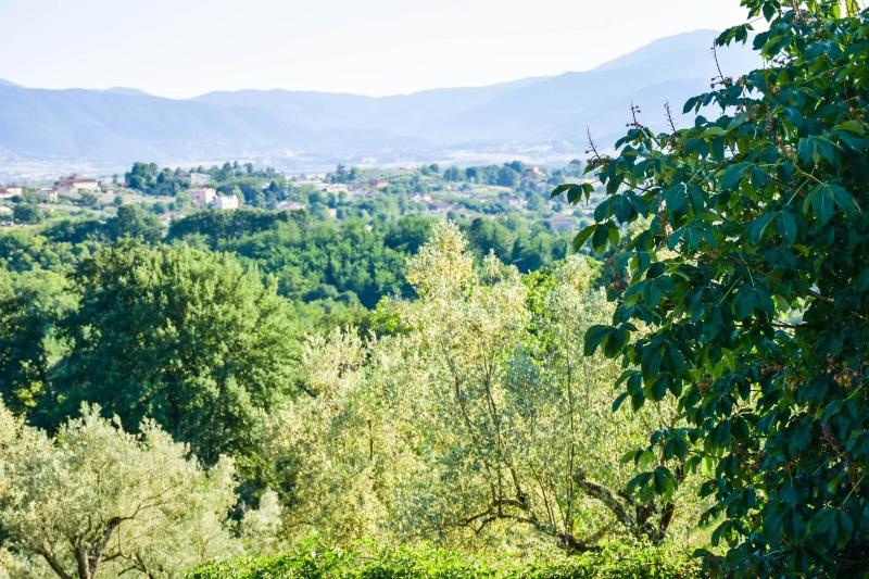 La Quiete image