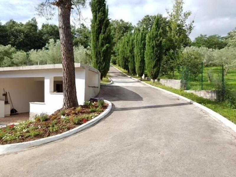 La Quiete image