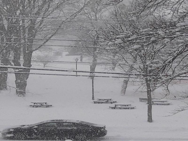 The Proctor Mansion Inn image