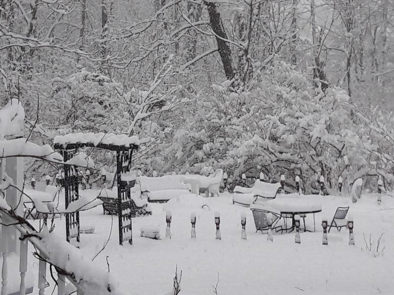 The Proctor Mansion Inn image