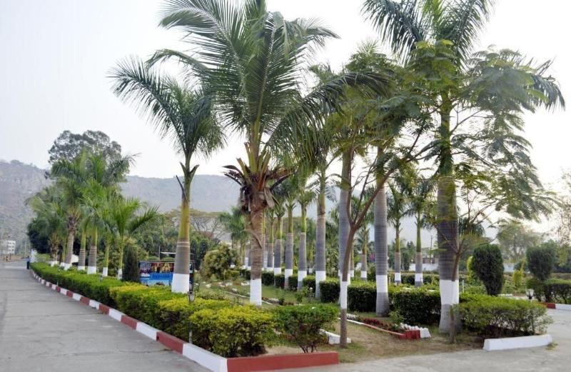 The Rajgir Residency image