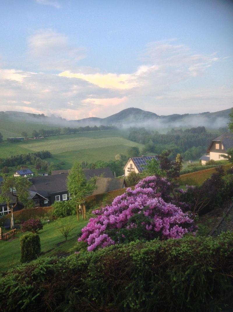 Gasthof Westfeld image