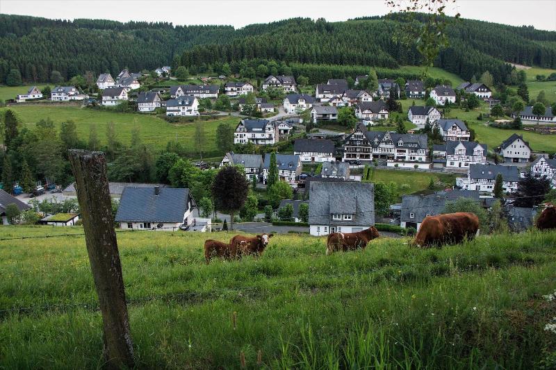 Gasthof Westfeld image