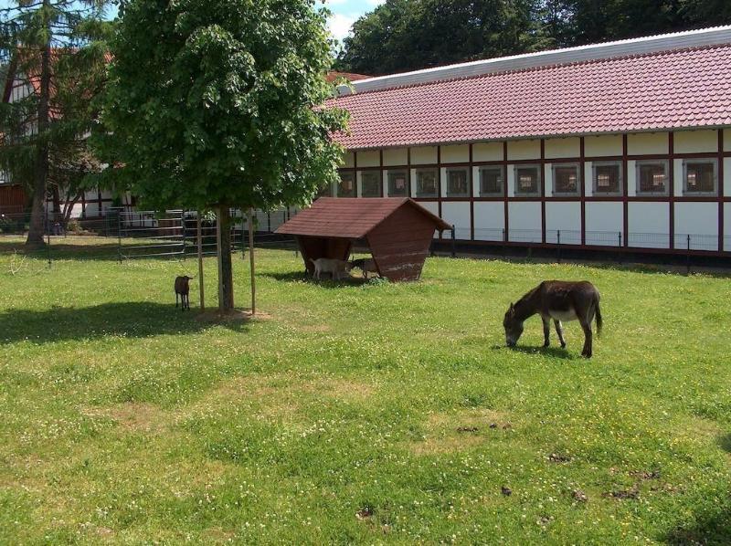 Landhotel Gutsherrn-Klause image