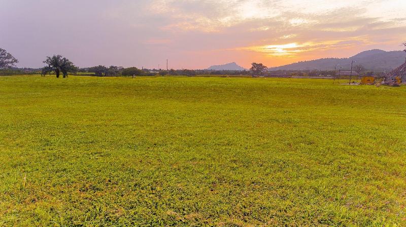 The Royal Senchi Resort/Hotel image