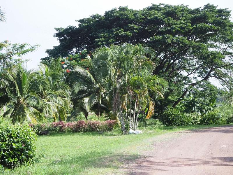 Goldenland Resort image