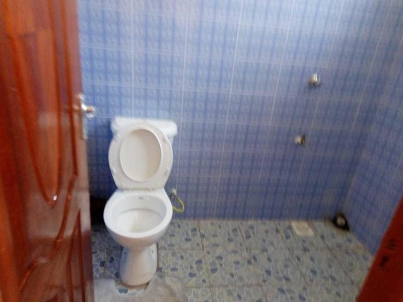 Lewisky Homestays And Tours image