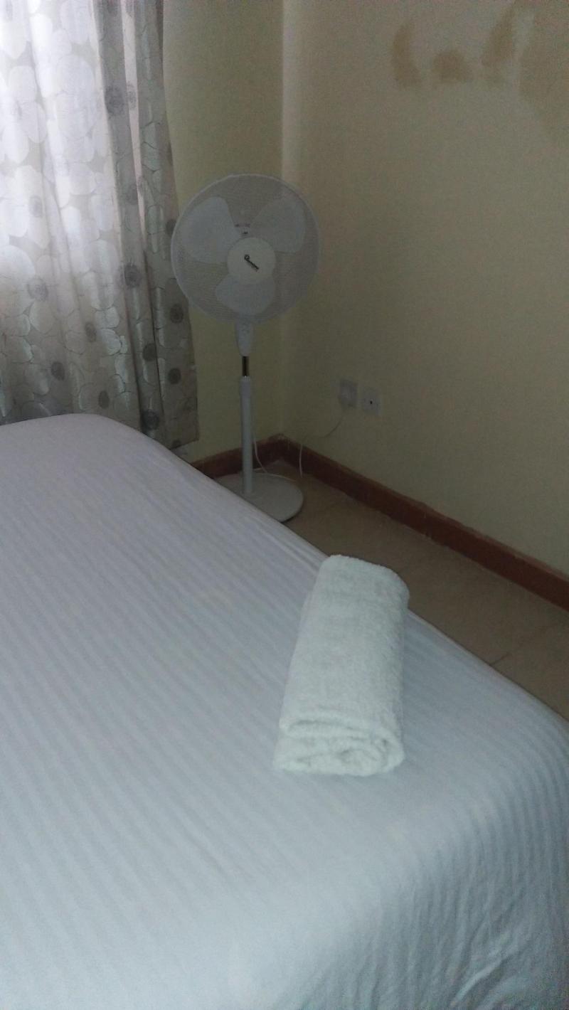 Lewisky Homestays And Tours image