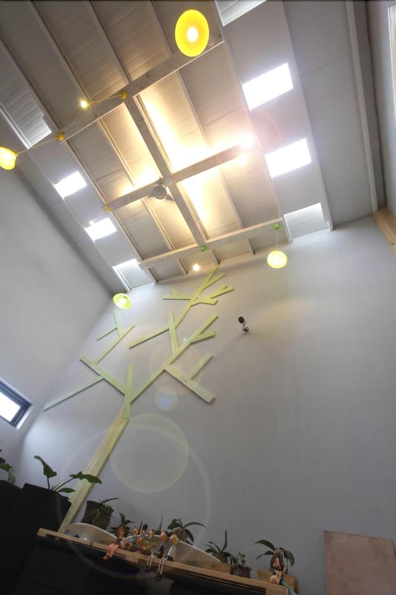 Light Shadow image