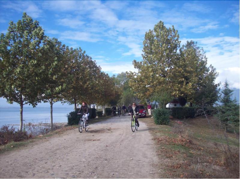 Limneo image