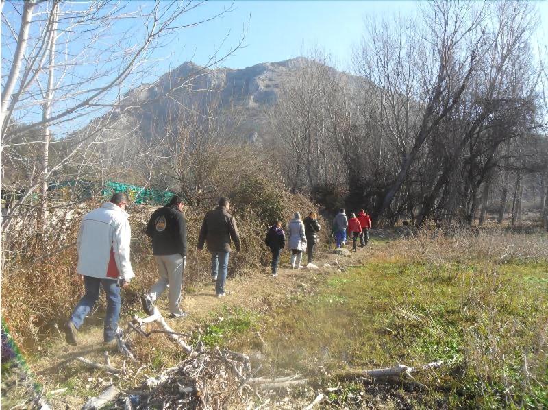 Limneo image