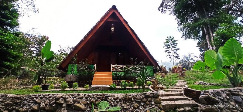Green Forest Tangkahan image