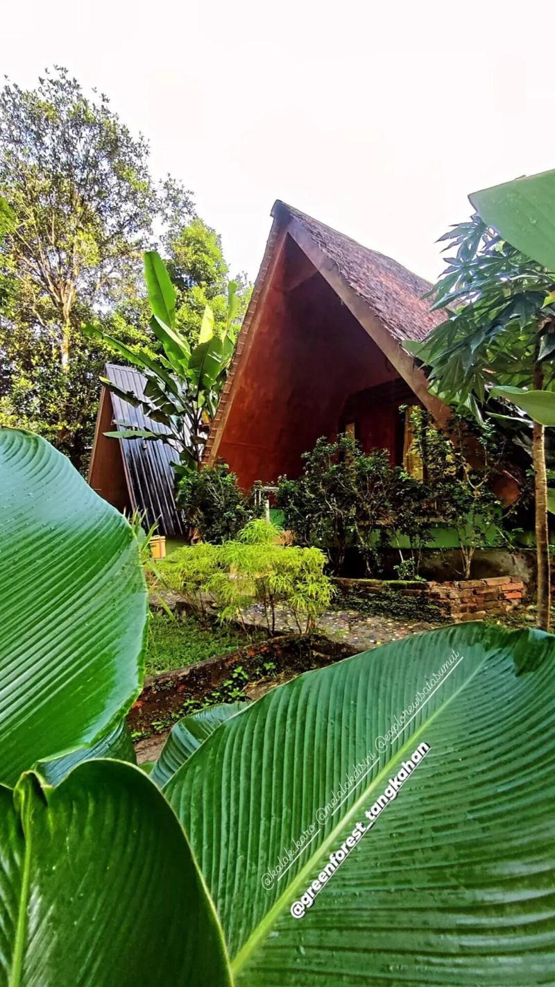 Green Forest Tangkahan image