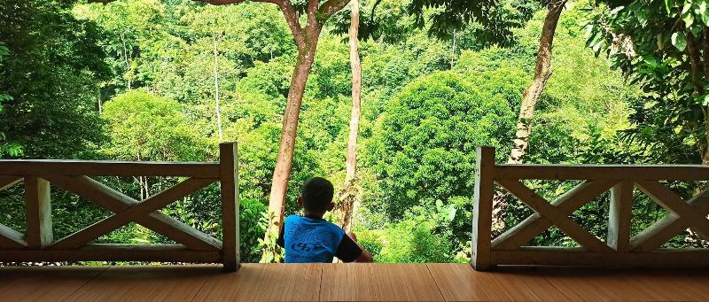 Green Forest Tangkahan image
