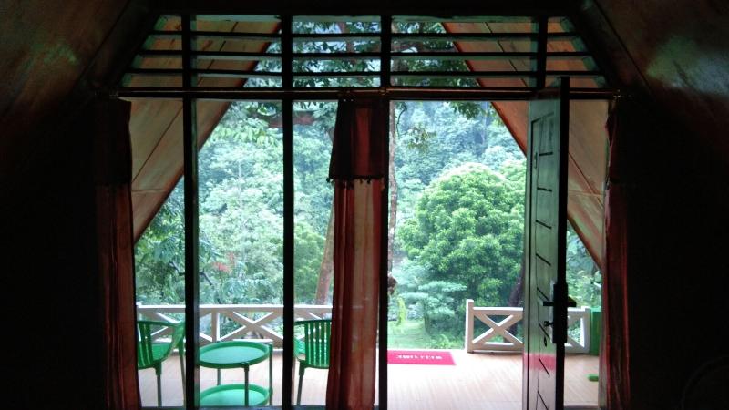Green Forest Tangkahan image